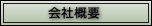 ЊTv